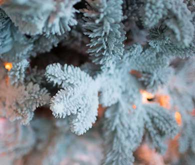 Искусственные заснеженные ёлки в Симферополе